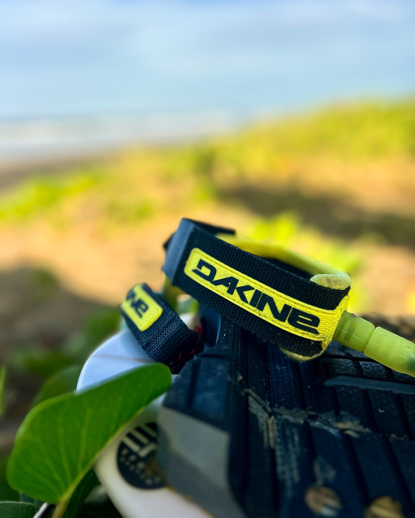 Dakine Procomp 6' x 3/16" Surf Leash