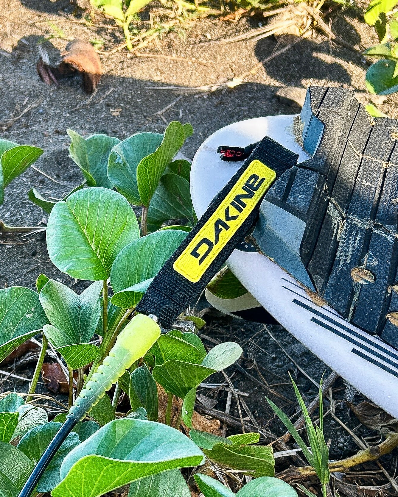Dakine Procomp 6' x 3/16" Surf Leash